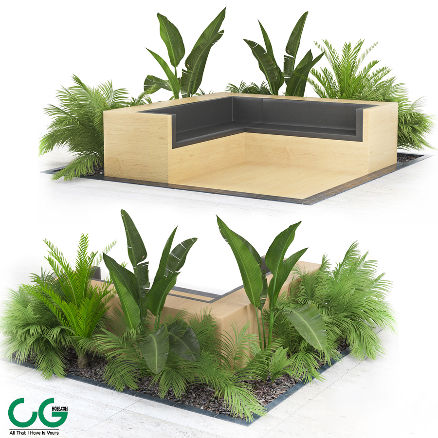 Flowerbed_Palm